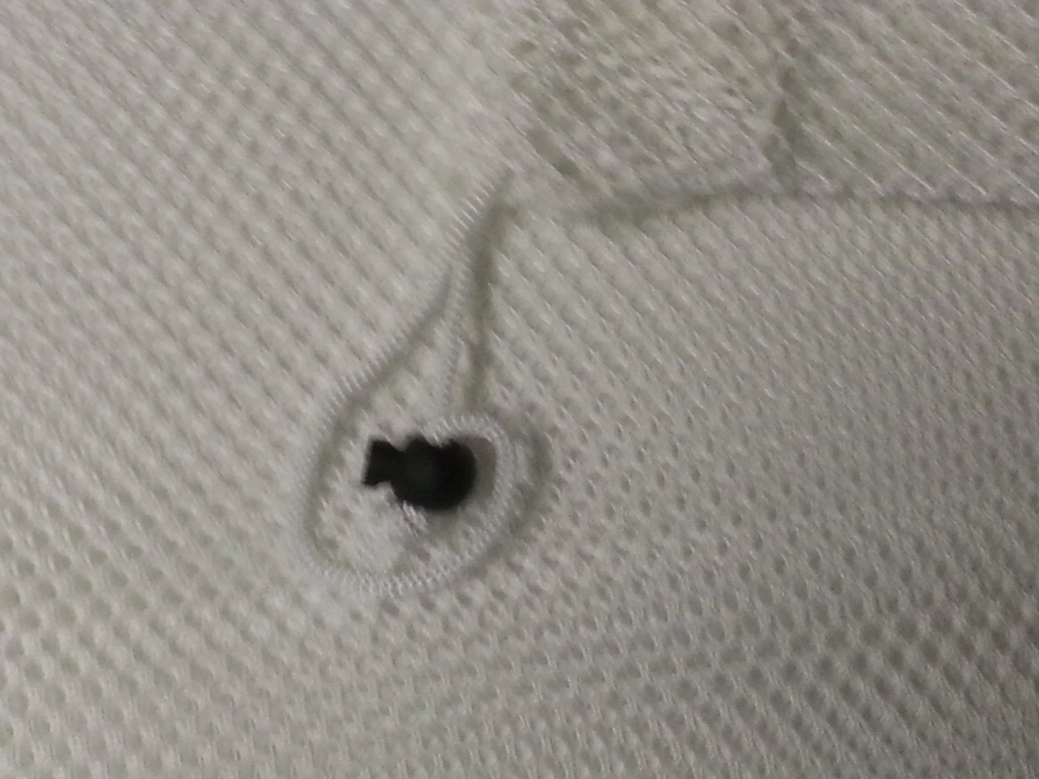 Laundry Net White 30x40 With Draw Cord
