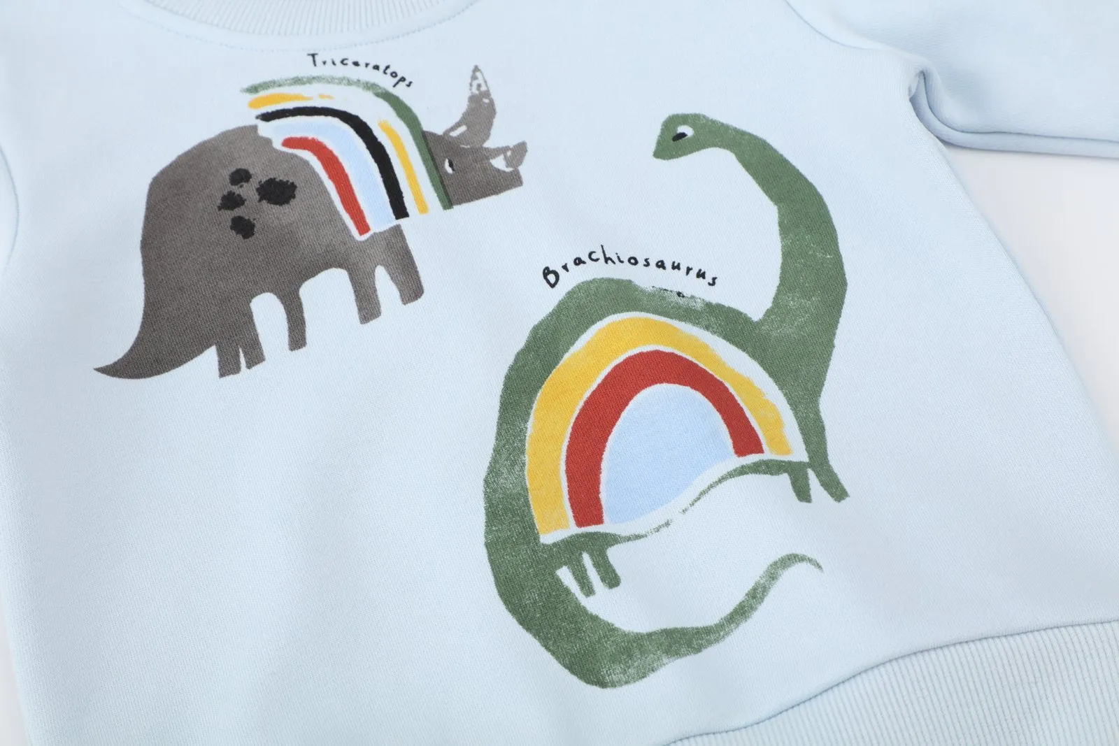 Toddler Boy's Blue Dinosaur Print Sweatshirt