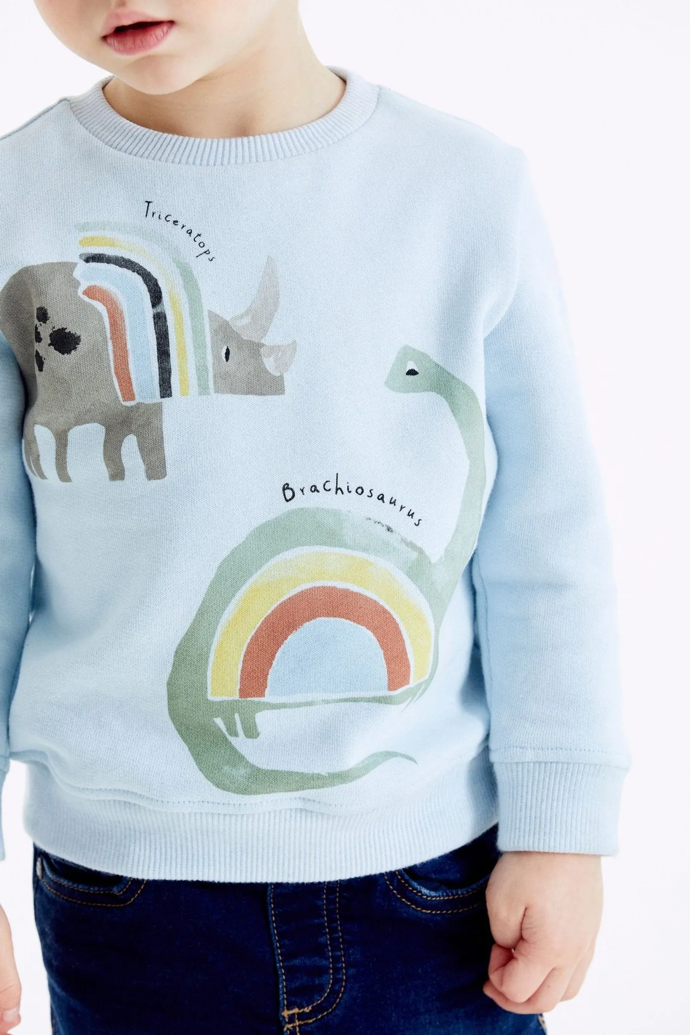 Toddler Boy's Blue Dinosaur Print Sweatshirt