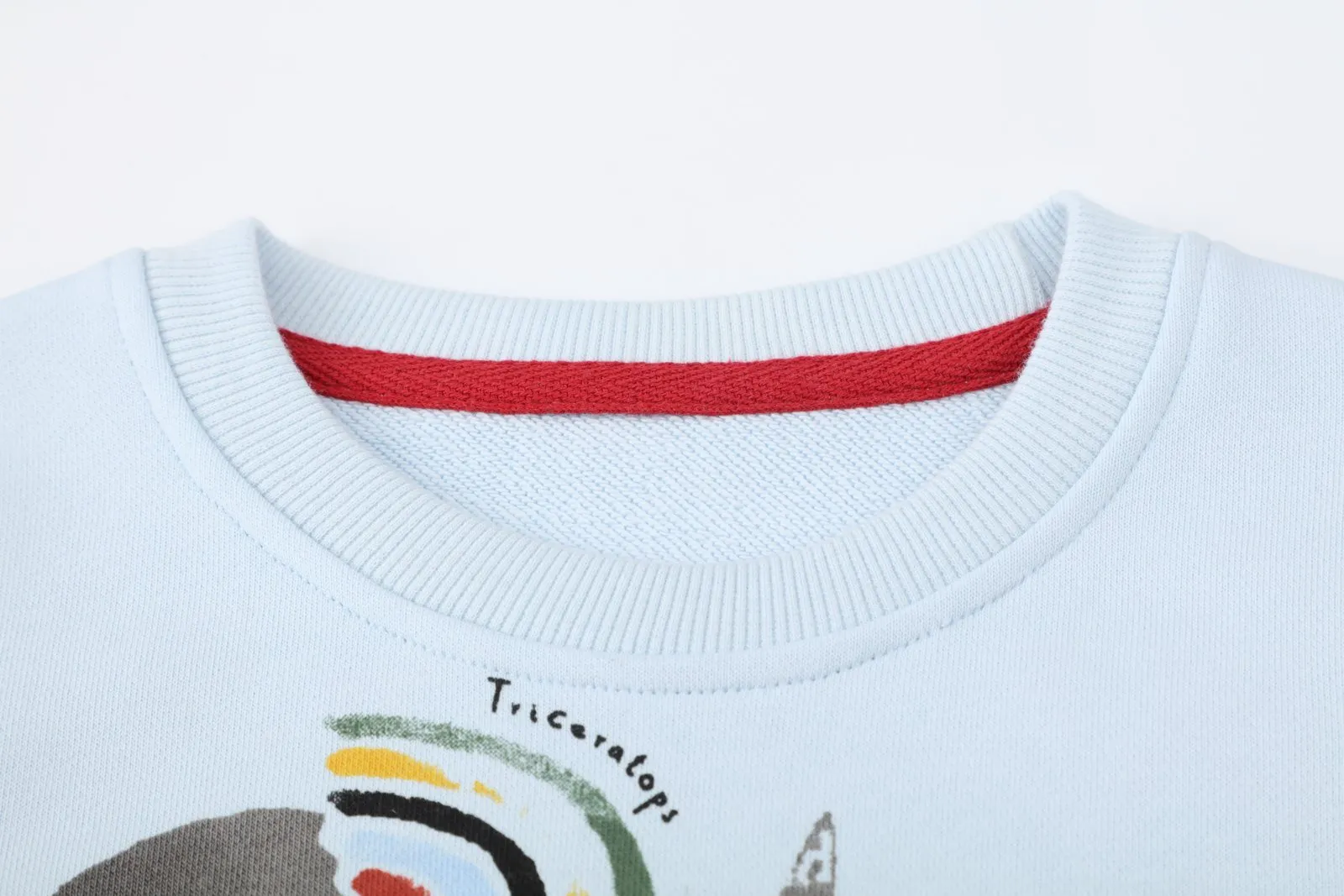 Toddler Boy's Blue Dinosaur Print Sweatshirt