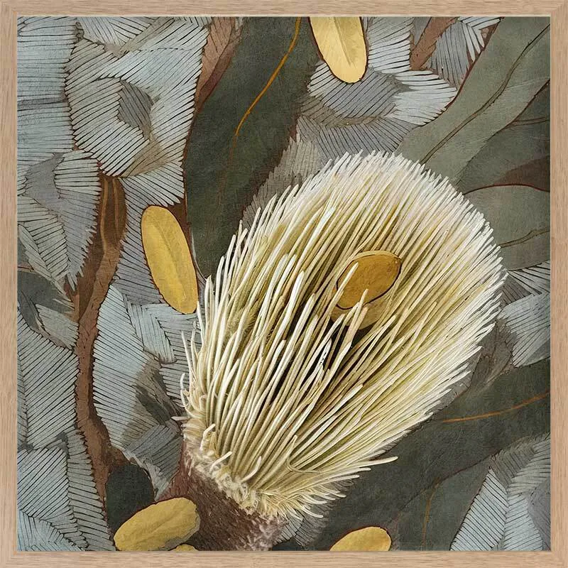 Wild Bottlebrush ll Framed Art Print